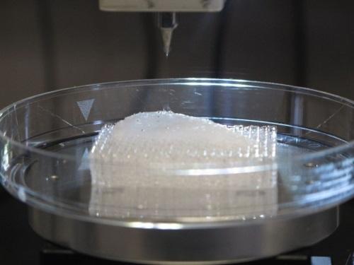 Исследователи занимаются изучением 3D-печатных каркасов для костей и тканей