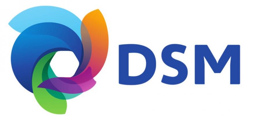 Royal DSM анонсировала порошки из полибутилентерефталата для SLS 3D-принтеров