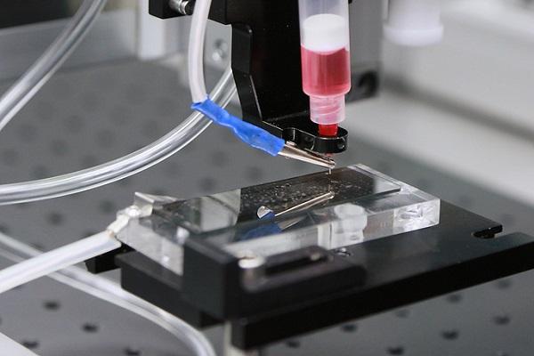 Биотехнологический центр УрФУ займется изучением 3D-печати живых тканей