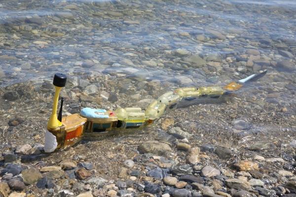 3D-печатный робот-угорь бороздит озера и пруды во имя науки и санитарии