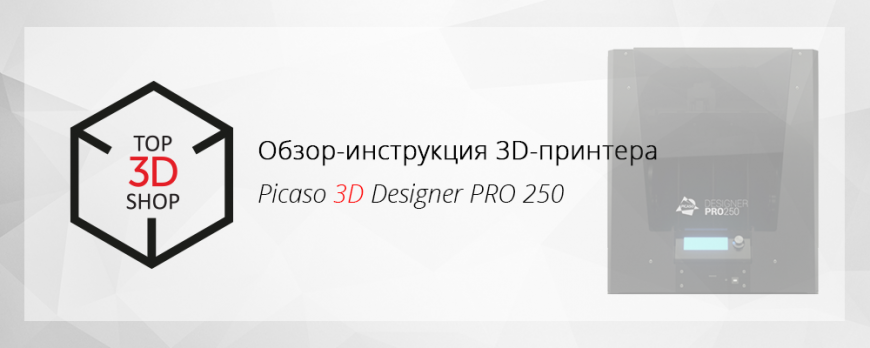 Обзор-инструкция 3D-принтера Picaso 3D Designer PRO 250