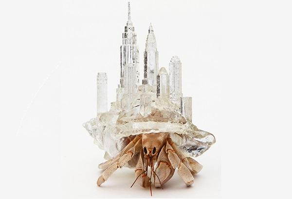 Японская художница заселяет раков-отшельников в стильные 3D-печатные домики