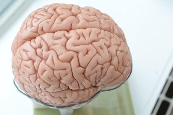Нейросети, биопечать и нанотехнологии: европейские исследователи нацелились на 3D-печать головного мозга