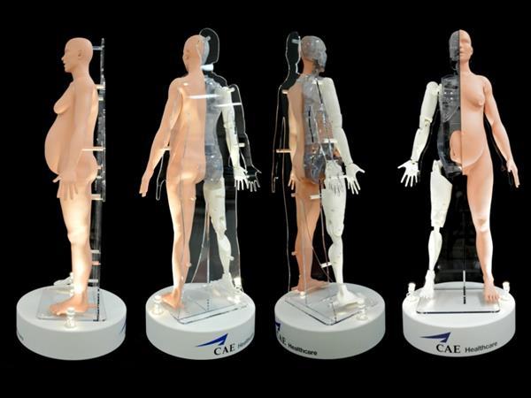3D printing поможет CAE Healthcare в разработке робота—симулятора родов