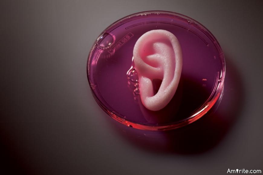 3D био-принтер для создания искусственных органов человека