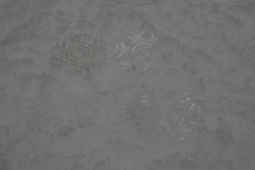 Флешбэк, градусник, снежинка, обратная сторона медали, Ceramические шестерни. (45 фото)