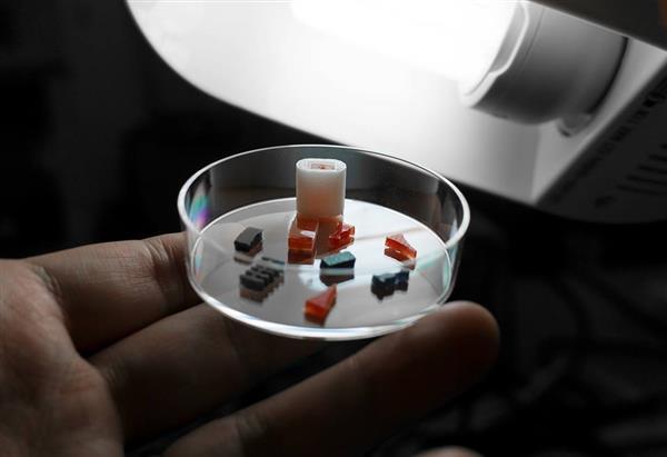 Сингапурские исследователи придумали новый способ 3D-печати таблеток