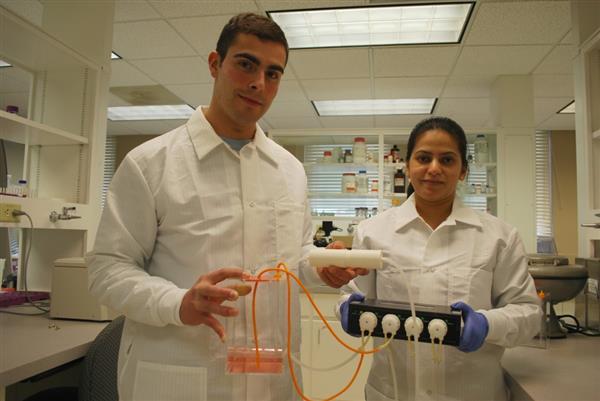 Медики придумали 3D-печатное устройство для клонирования раковых клеток