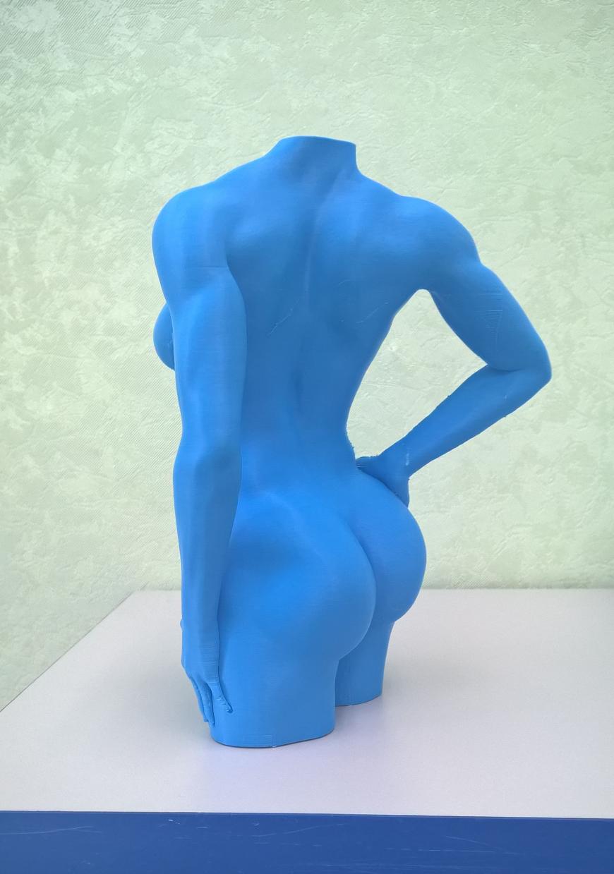 3DELO - печать женского тела (осторожно - мотивирует)