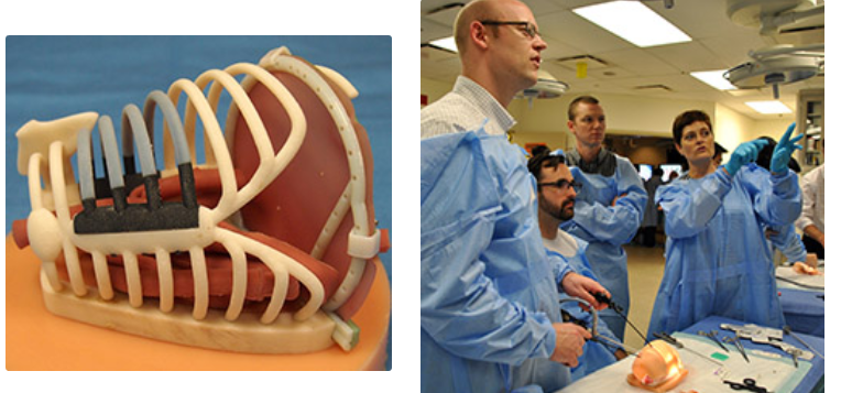 Подготовка детских хирургов с помощью 3D-печатных моделей грудной клетки