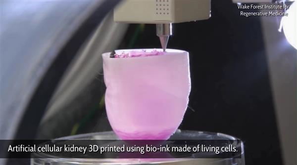 3D-биопечать в действии