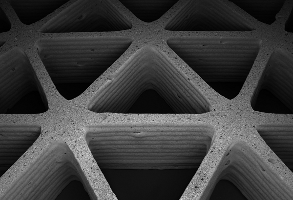 Ученые из Гарварда и MIT исследуют 3D-печать керамической пеной