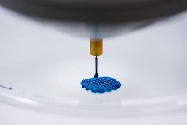 Новая методика 3D-печати хрящей полагается на армированные гидрогели