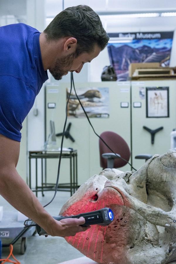Технологии 3D-печати и 3D-сканирования помогают воссоздать гигантский скелет древнего мамонта