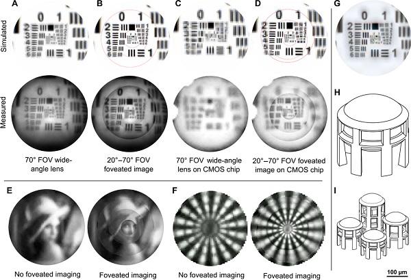 Немецкие ученые создали камеру с 3D-печатными линзами и орлиным зрением