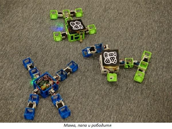 Робо сапиенс: европейские ученые применяют 3D-печать в разработке эволюционирующих роботов