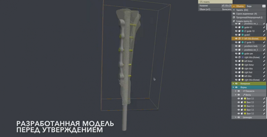 Новосибирские ветеринары вживили дворняжке напечатанную на 3D-принтере лапу
