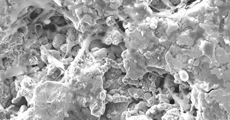 Разработан новый марганцево-железный сплав для изготовления подложек и регенерации тканей
