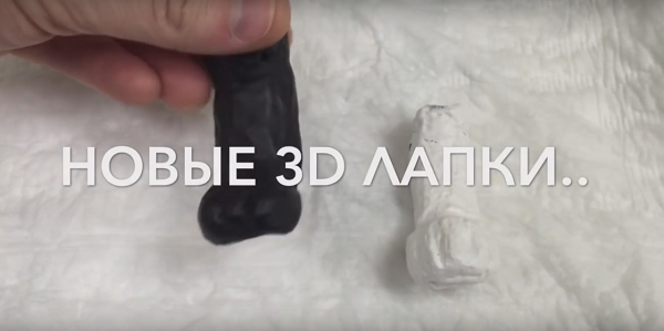 Новосибирская ветеринарная клиника применяет изготовленные с помощью 3D-печати протезы