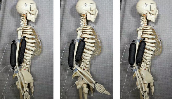 Искусственные мышцы на 3D-принтере: новая методика изготовления мягких актуаторов для робототехники