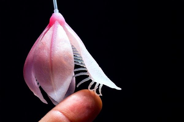 Новозеландский дизайнер создает 3D-печатные синтетические организмы