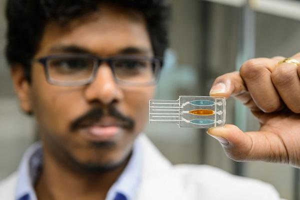 Американские ученые оценили вред вейпинга с помощью 3D-печатных микрожидкостных систем