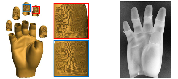 3D-печатные «пальчики» применяются для оценки эффективности дактилоскопических сканеров