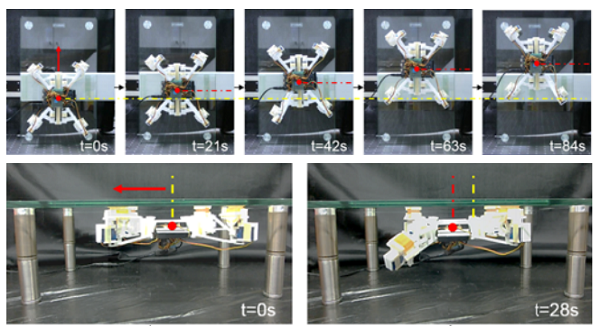 Вокруг света с 3Dtoday: 3D-печатный робот-геккон, искусственный цветок с эффектом запоминания формы и бактериальные микродвигатели