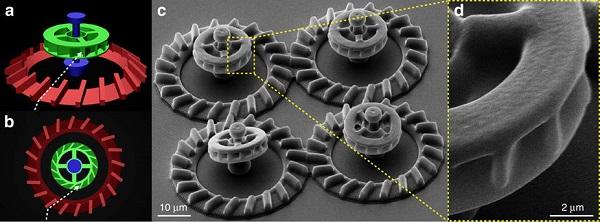 Вокруг света с 3Dtoday: 3D-печатный робот-геккон, искусственный цветок с эффектом запоминания формы и бактериальные микродвигатели