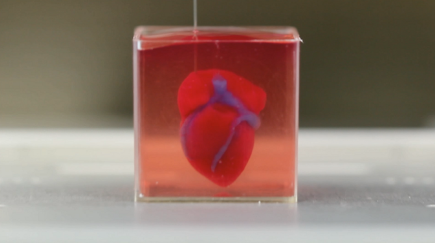 В Израиле не напечатали на 3D-принтере живое сердце