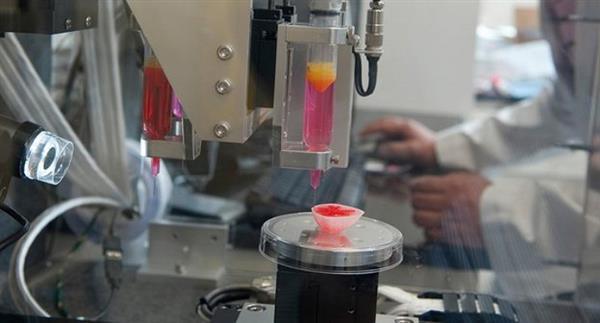 Ученые напечатали на 3D-принтере «бьющиеся» сердечные клетки
