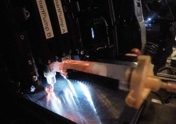 Экипаж МКС впервые займется 3D-печатью живых тканей в начале следующего года