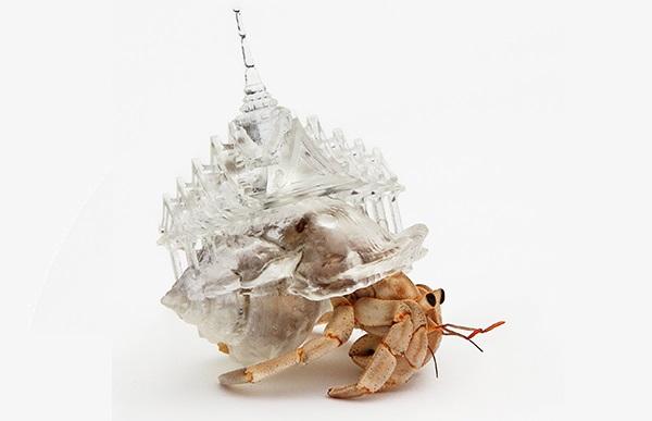Японская художница заселяет раков-отшельников в стильные 3D-печатные домики