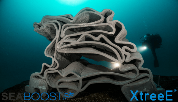 В южных водах Франции появился 3D-печатный коралловый риф