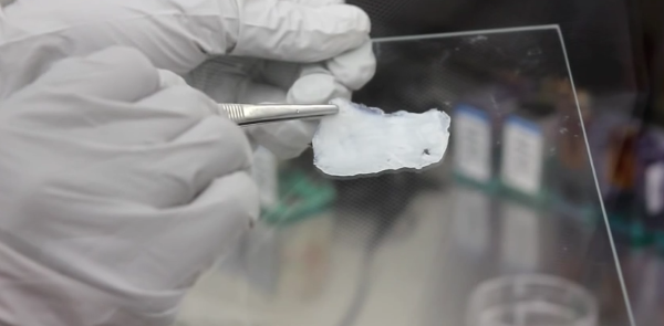 TeVido BioDevices печатает кожные трансплантаты для реконструкции молочной железы