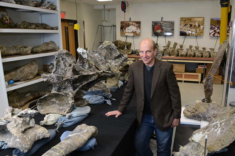 Музей отсканировал и напечатал миниатюрные копии костей дредноутуса