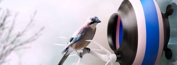 Printednest вернет птиц в города с помощью 3D-печати