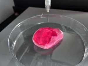 3D-биопринтер, способный печатать клетками, бактериями и пластиком за один сеанс