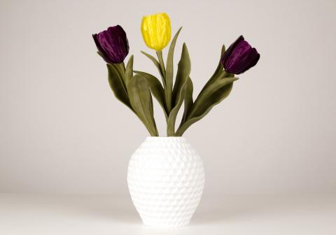 MakerBot представляет бесплатное приложение для изготовления ваз