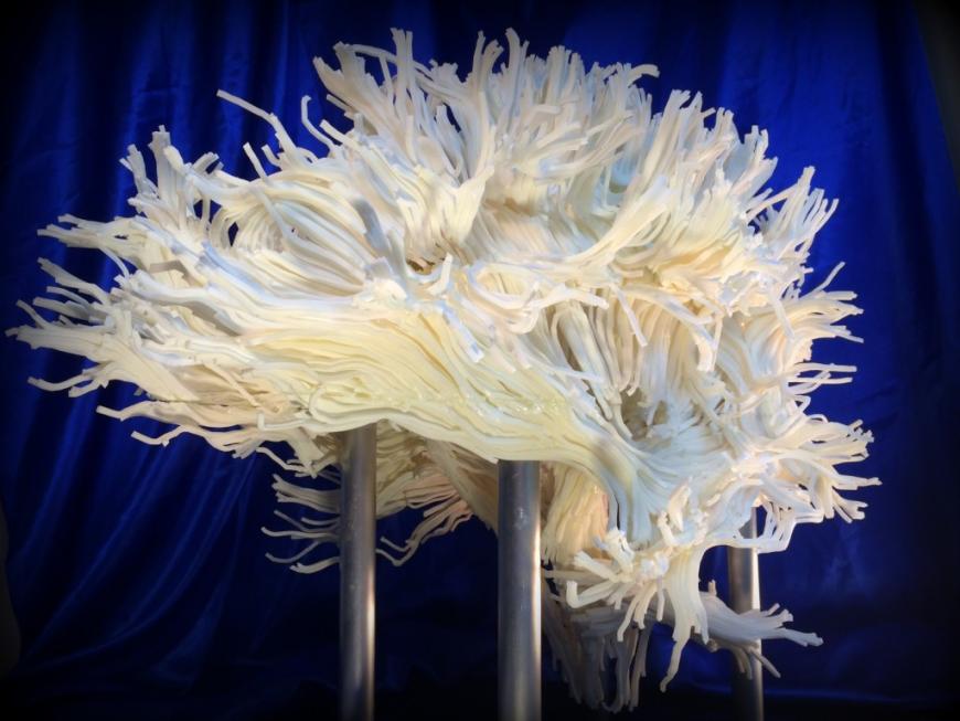 Институт Франклина напечатал сложную модель белого вещества мозга человека