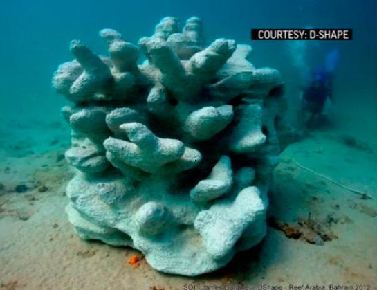 Энрико Дини печатает коралловые рифы, чтобы предотвратить береговую эрозию