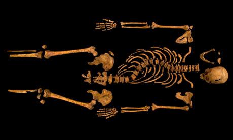 Скелет Ричарда III (Фотография предоставлена Университетом Лестера)
