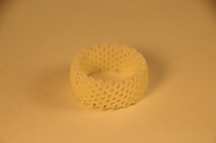 Нейлоновое кольцо, напечатанное на принтере Бастиана