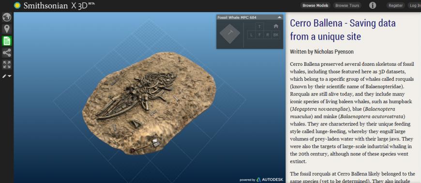 Скриншот Smithsonian X 3D