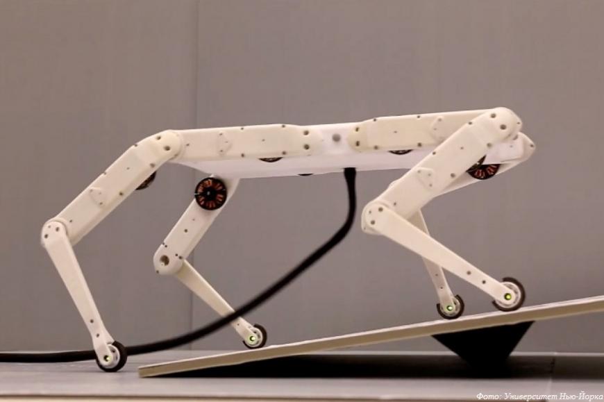 Solo 8: бюджетный 3D-печатный аналог робота Spot от Boston Dynamics