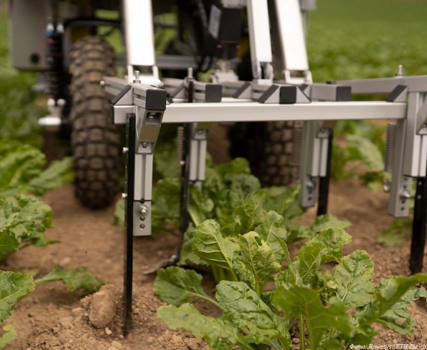 Швейцарские студенты сконструировали робота для борьбы с сорняками