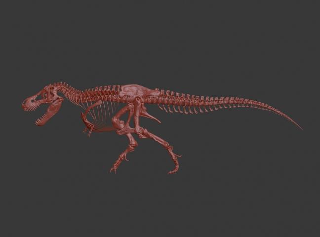 Динозавр скелет Скелет тираннозавра t-rex skeleton Кость