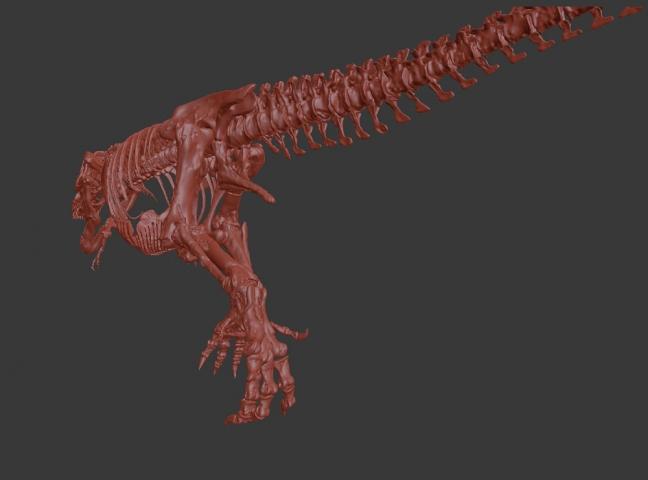 Динозавр скелет Скелет тираннозавра t-rex skeleton Кость