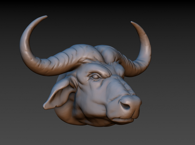 Голова африканского буйвола (Голова быка)