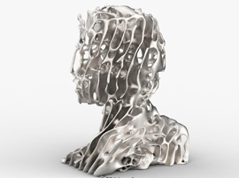 3D-печатный Человек Реакционной Диффузии от Dizingof